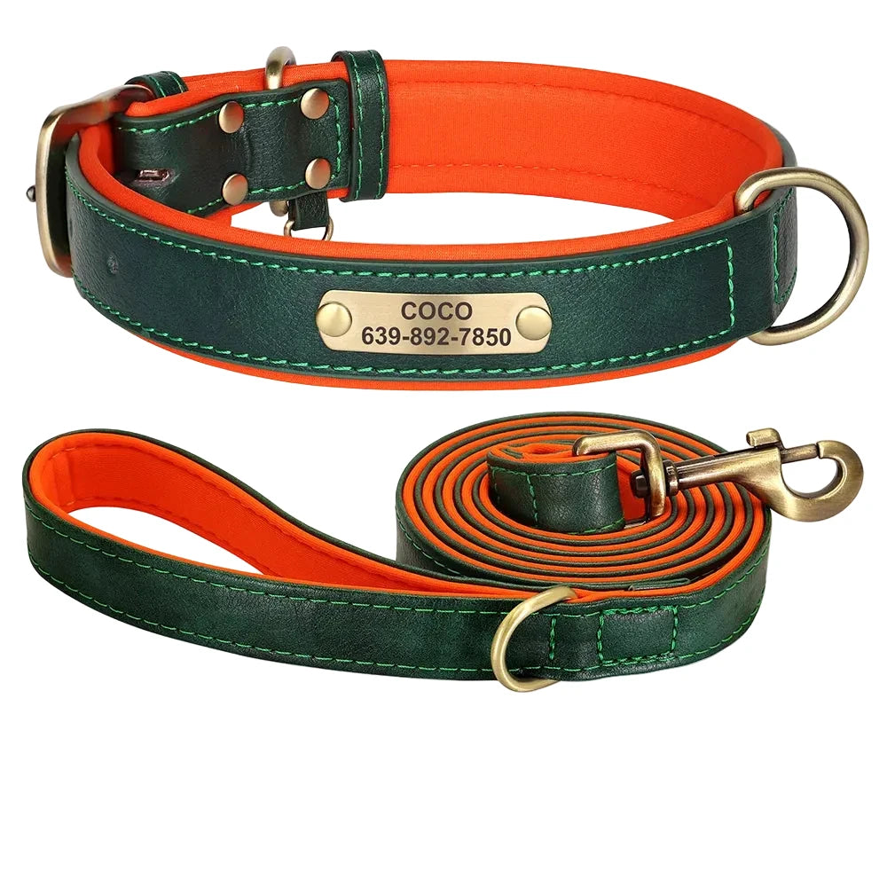 Custom Engraved Padded Leather Dog Collar