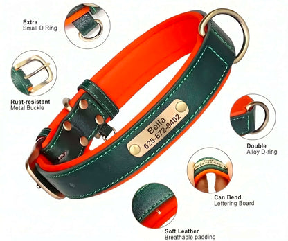 Custom Engraved Padded Leather Dog Collar