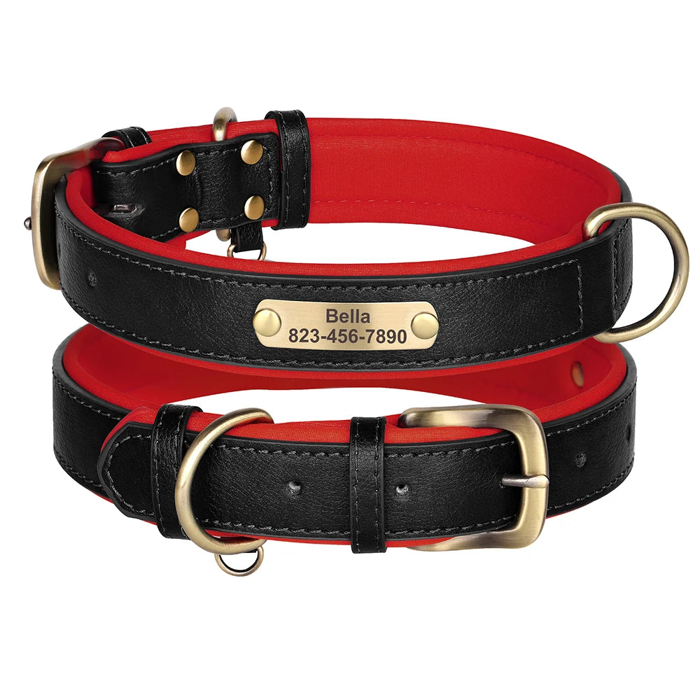 Custom Engraved Padded Leather Dog Collar
