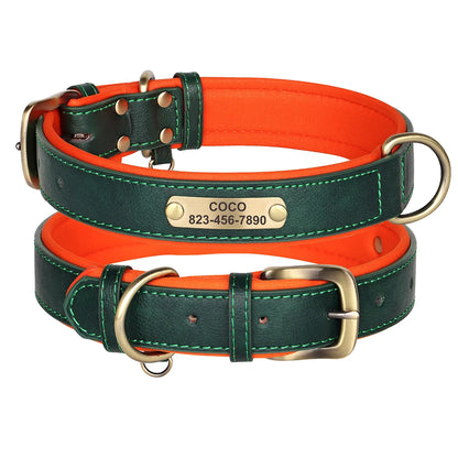 Custom Engraved Padded Leather Dog Collar