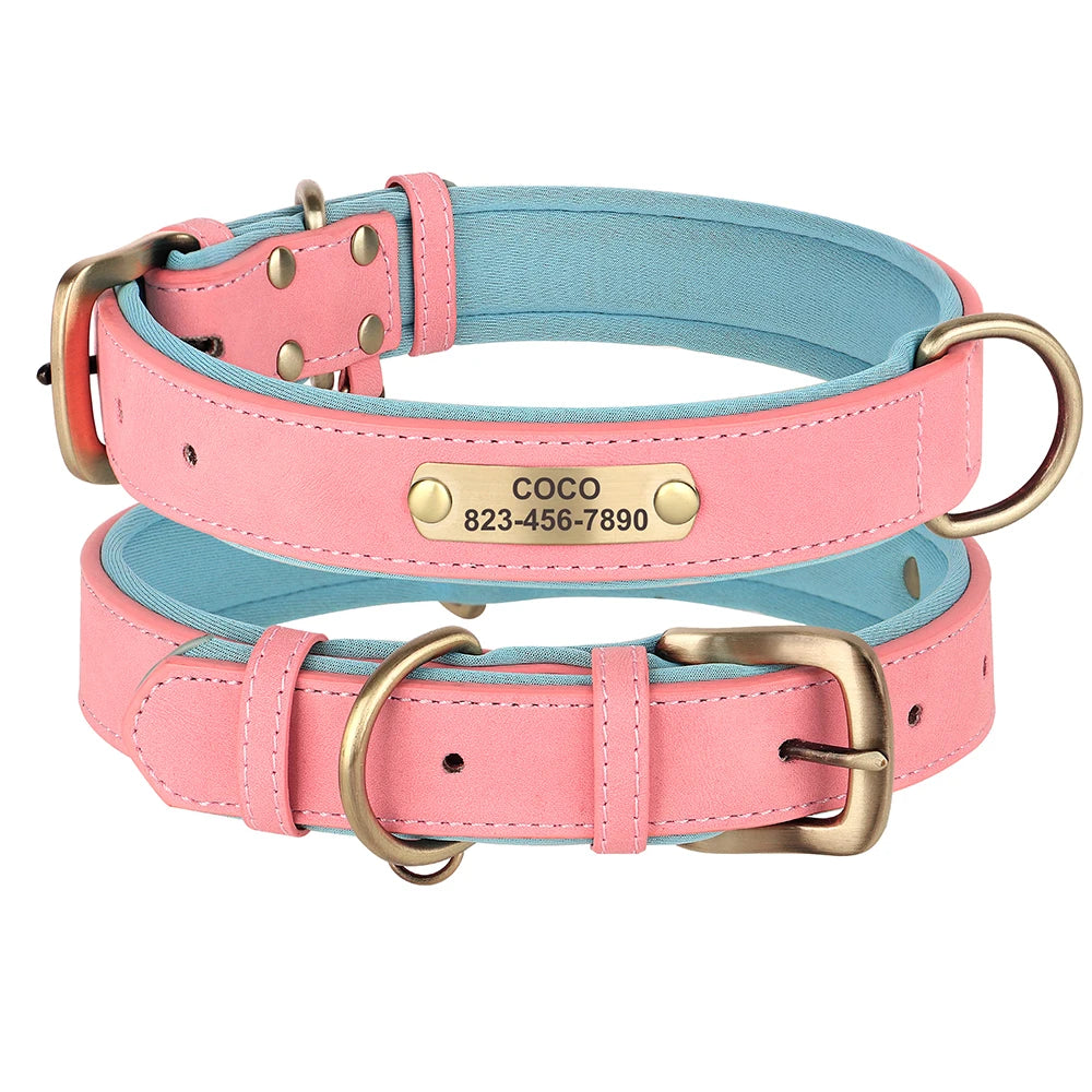 Custom Engraved Padded Leather Dog Collar