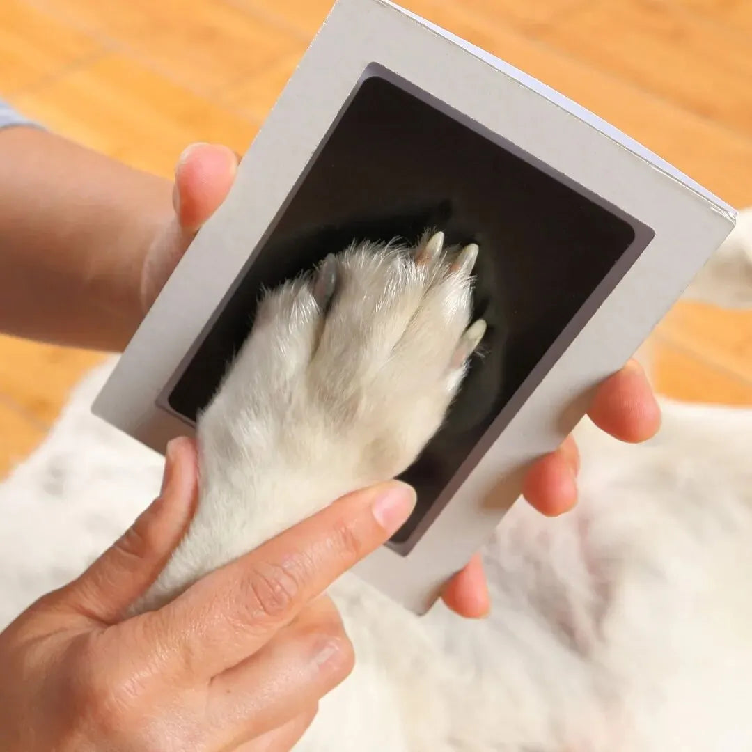 Alory Paw Print Kit | Inkless Keepsake for Dogs & Cats | Clean Touch Ink Pad