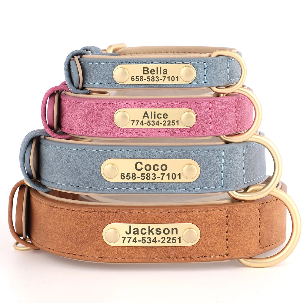 Custom Engraved Heritage Leather Dog Collar
