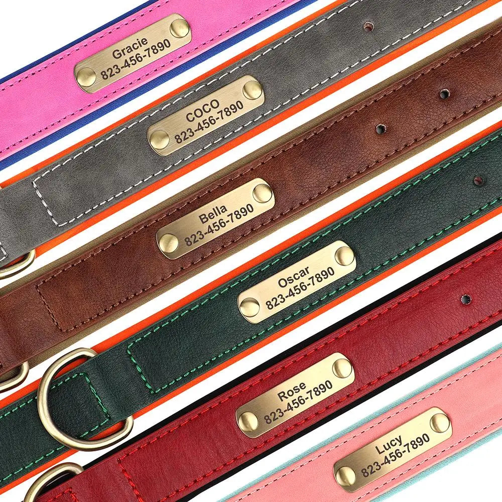 Custom Engraved Padded Leather Dog Collar