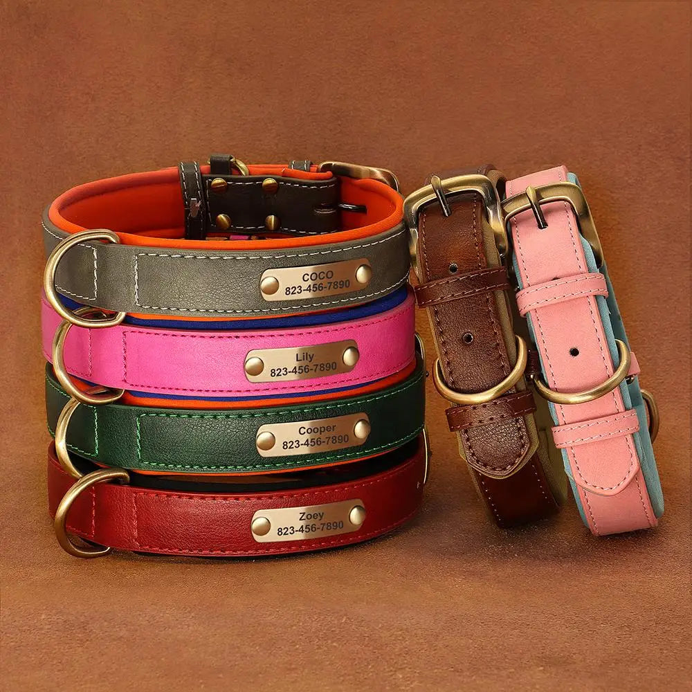Custom Engraved Padded Leather Dog Collar