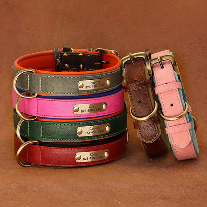 Custom Engraved Padded Leather Dog Collar