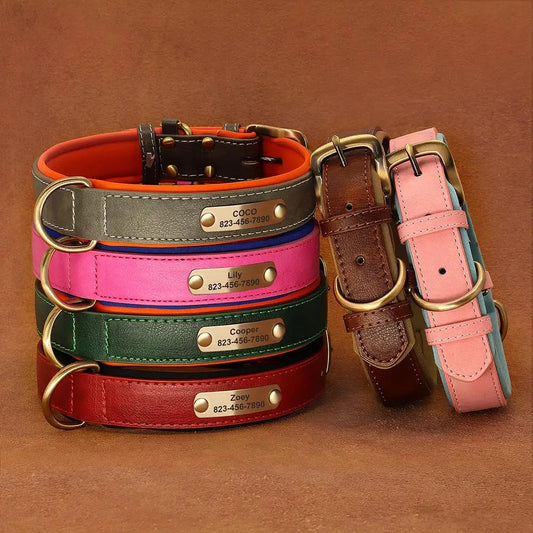 Custom Engraved Padded Leather Dog Collar