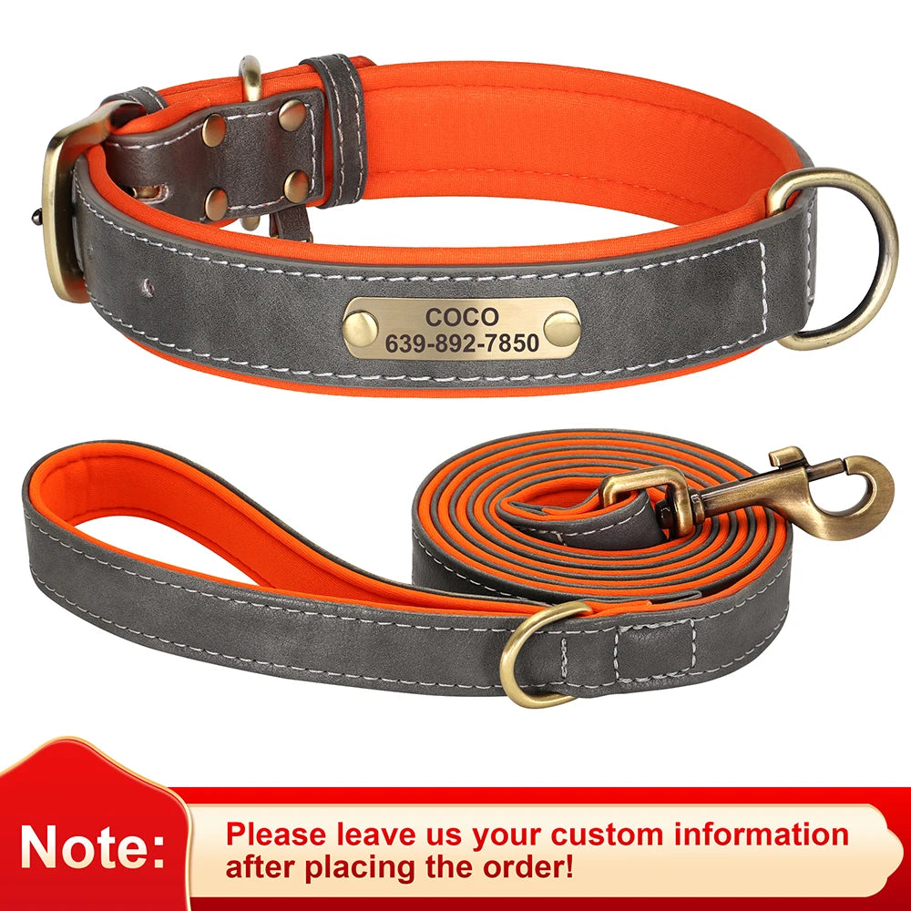Custom Engraved Padded Leather Dog Collar