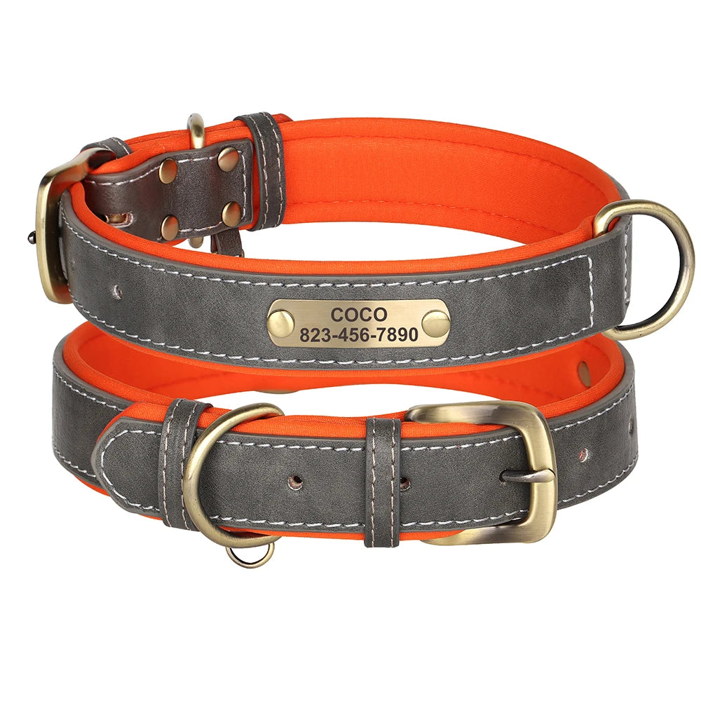 Custom Engraved Padded Leather Dog Collar