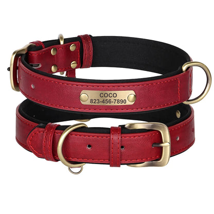 Custom Engraved Padded Leather Dog Collar