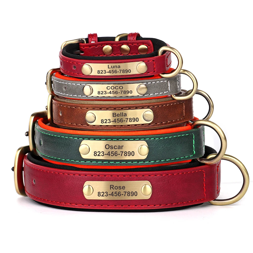 Custom Engraved Padded Leather Dog Collar