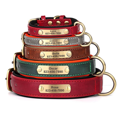 Custom Engraved Padded Leather Dog Collar