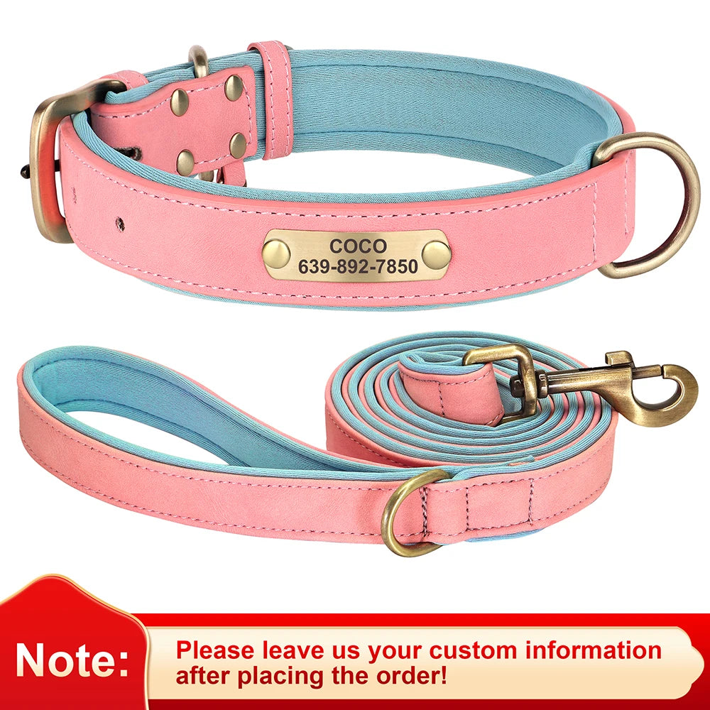 Custom Engraved Padded Leather Dog Collar