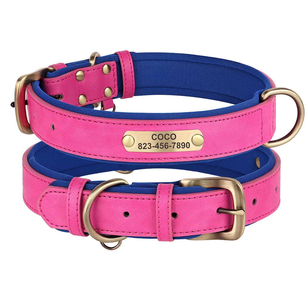 Custom Engraved Padded Leather Dog Collar