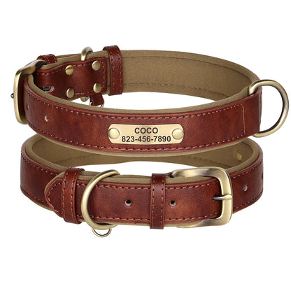 Custom Engraved Padded Leather Dog Collar