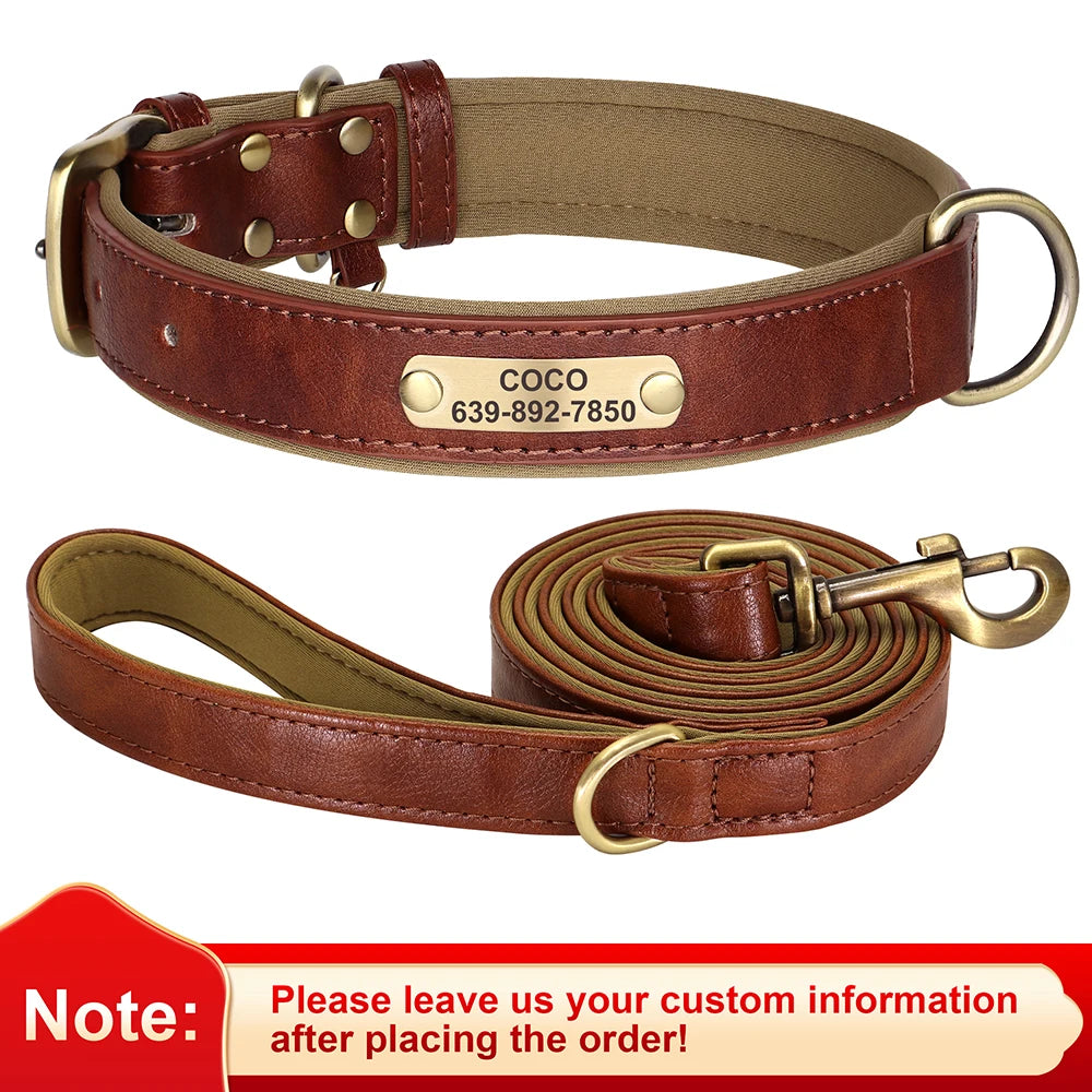 Custom Engraved Padded Leather Dog Collar
