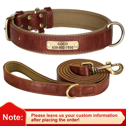 Custom Engraved Padded Leather Dog Collar