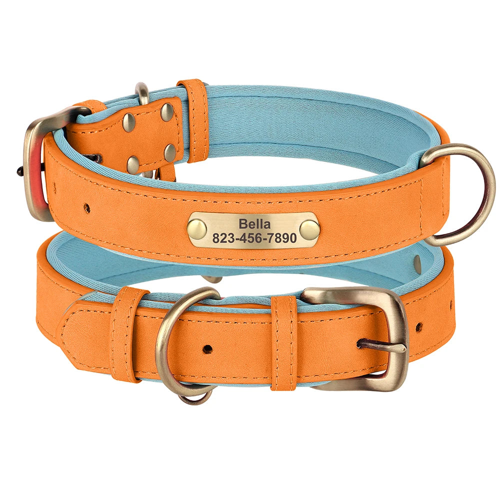 Custom Engraved Padded Leather Dog Collar
