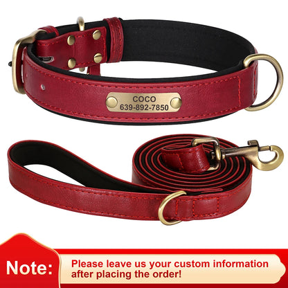 Custom Engraved Padded Leather Dog Collar