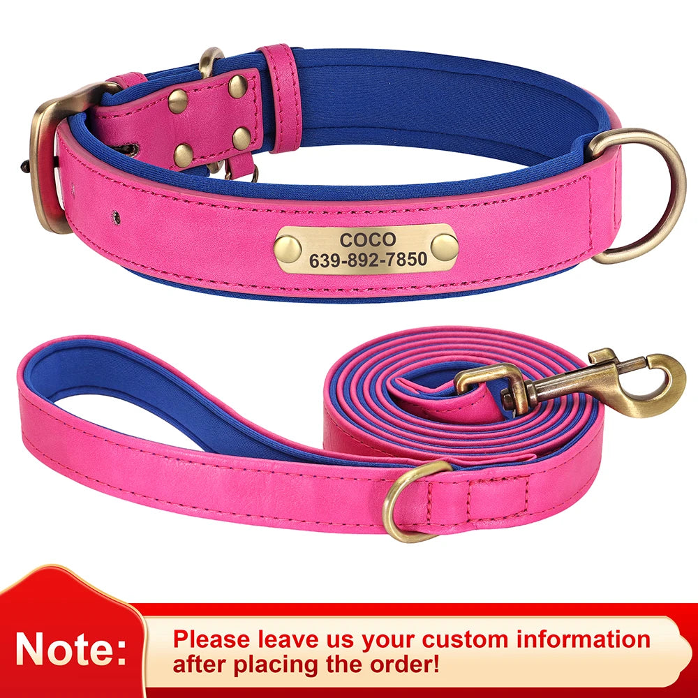 Custom Engraved Padded Leather Dog Collar