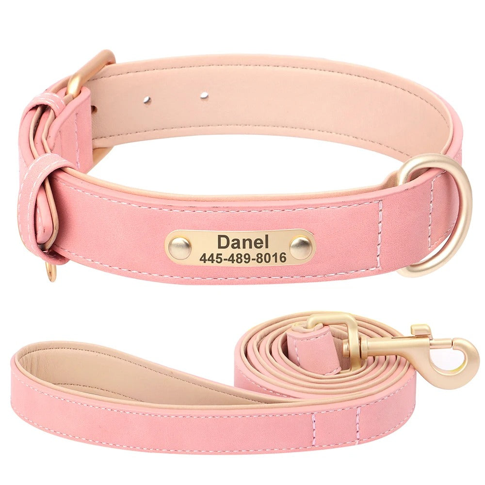 Custom Engraved Heritage Leather Dog Collar