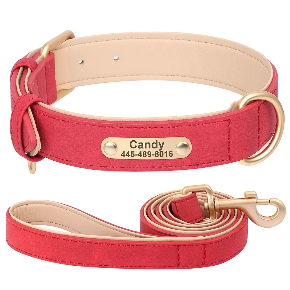 Custom Engraved Heritage Leather Dog Collar