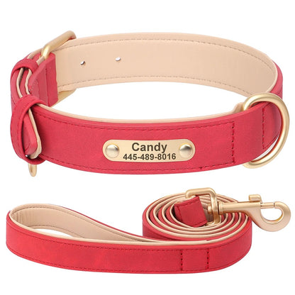 Custom Engraved Heritage Leather Dog Collar