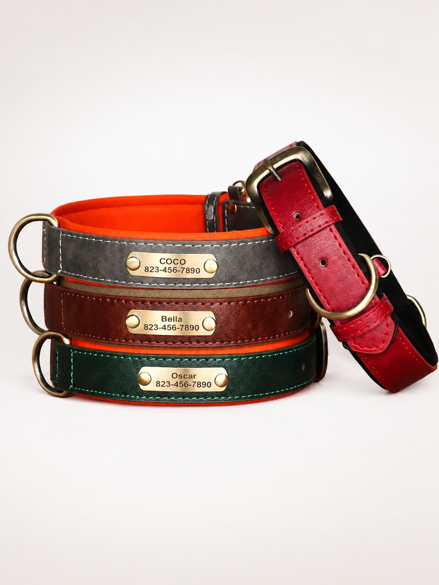 Custom Engraved Padded Leather Dog Collar