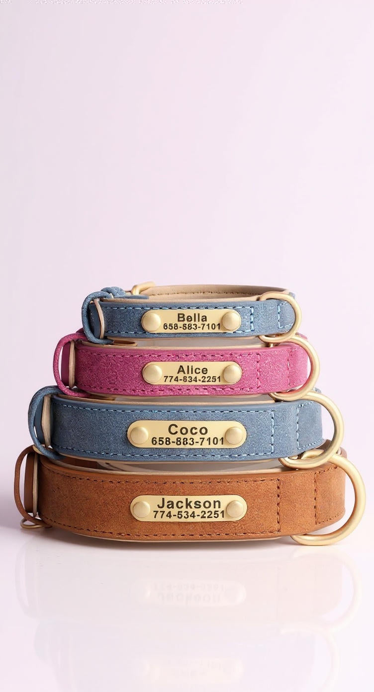 Custom Engraved Heritage Leather Dog Collar