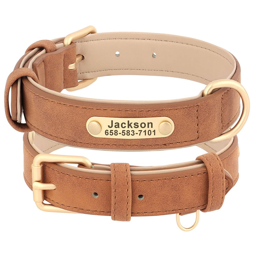 Custom Engraved Heritage Leather Dog Collar