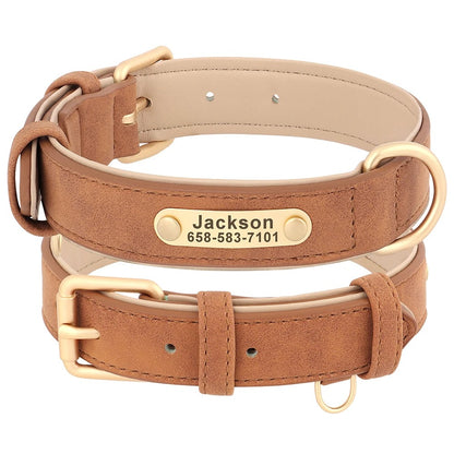 Custom Engraved Heritage Leather Dog Collar