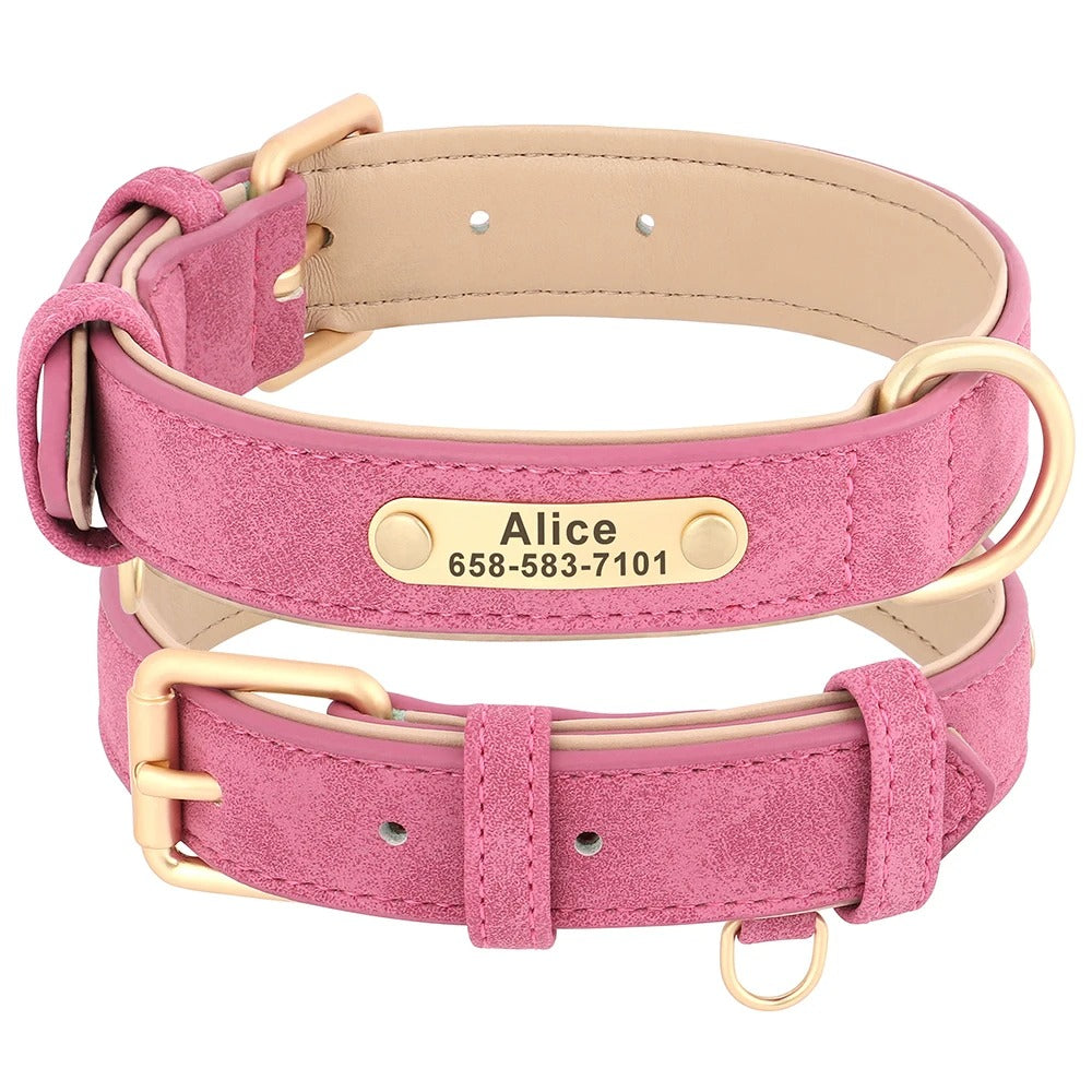 Custom Engraved Heritage Leather Dog Collar