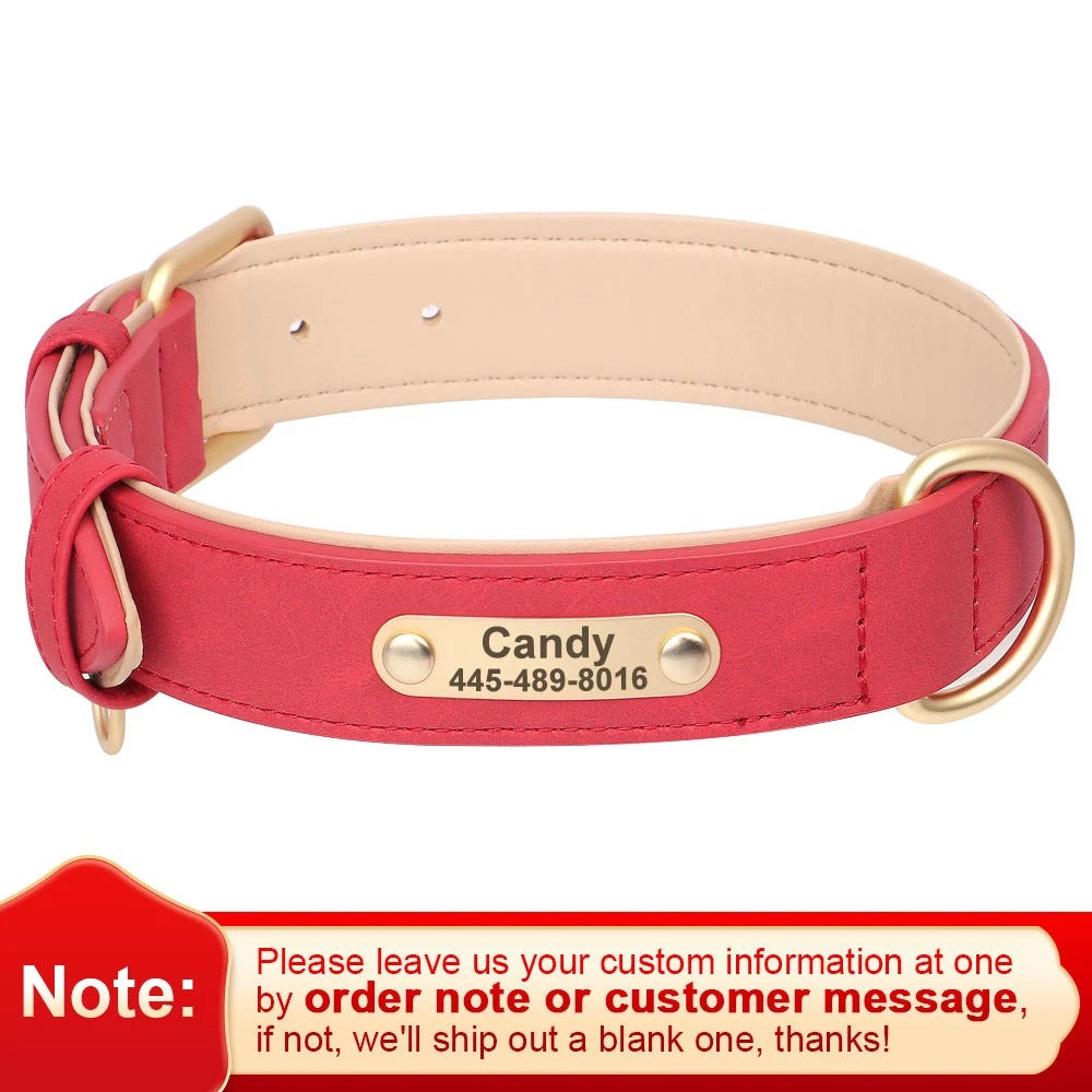 Custom Engraved Heritage Leather Dog Collar